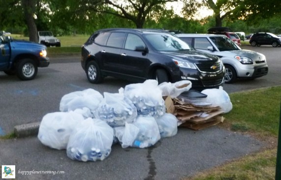 Triceratops Tri - collected recycling