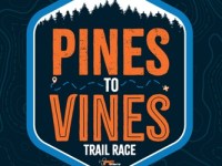 Quick & Dirty: Pines to Vines 2026 Sustainability&nbsp;Report
